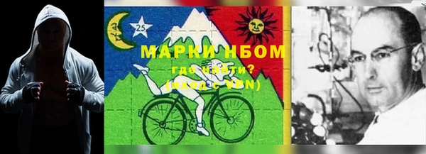 первитин Усинск
