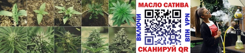 где купить наркоту  mega онион  ТГК THC oil  Кимовск 