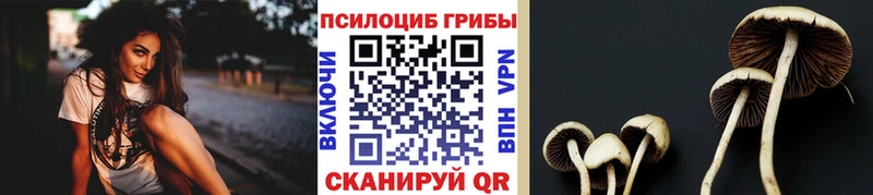 кракен   Кимовск  Псилоцибиновые грибы прущие грибы  где продают наркотики 